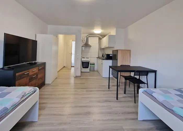 Bs Comfort Zentral-apartment 3*